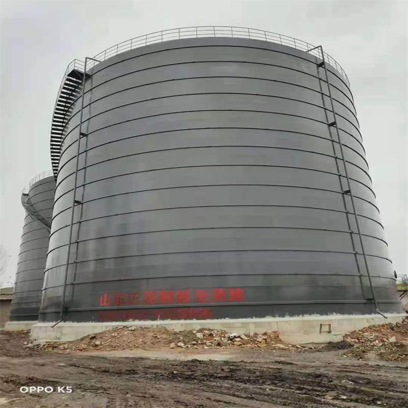 洮南3万吨大型钢板库